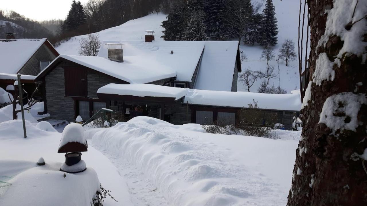 Haus Wiesenblick Walkenried Eksteriør bilde