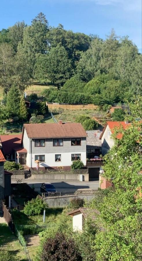 Haus Wiesenblick Walkenried Eksteriør bilde