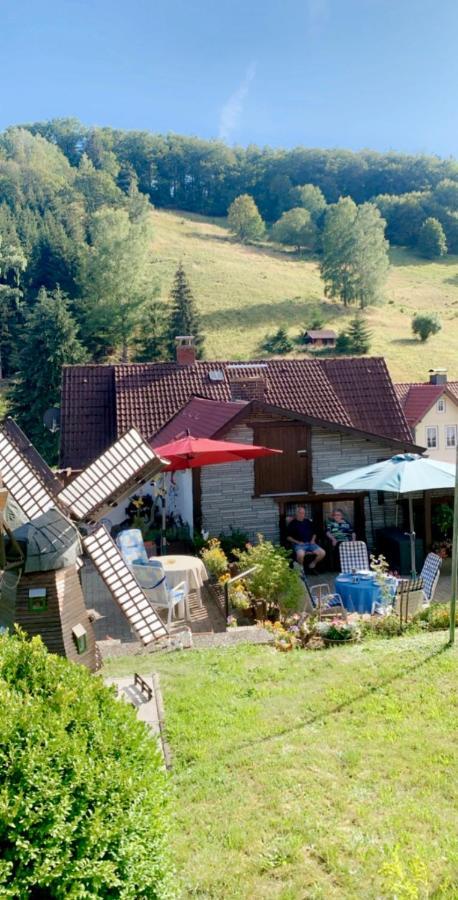 Haus Wiesenblick Walkenried Eksteriør bilde